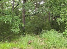 Lot 38 Meadow Lark Drive