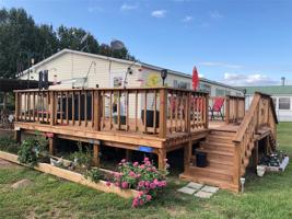 252 WHITEDOVE
