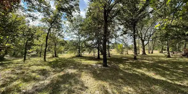 Lot 617 Spur 294