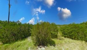 913 Thicket Trail
