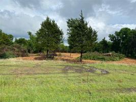 Lot 3 CR 1102 TBD