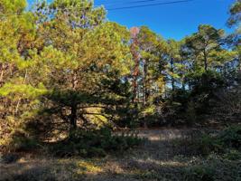 TBD Sunny ridge