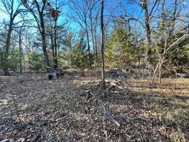 10514 Gaillard Woods