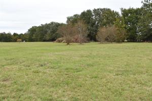 4436 W State Highway 154