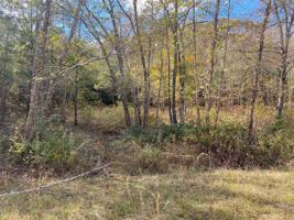 Lot 1A Ann Drive