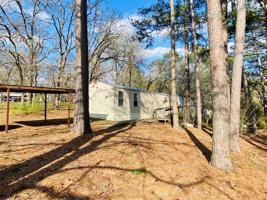 4541 Black Walnut Lane