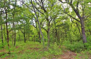Lot 2 Lakecrest Drive