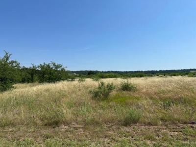 Lot 405 PK Hills Boulevard