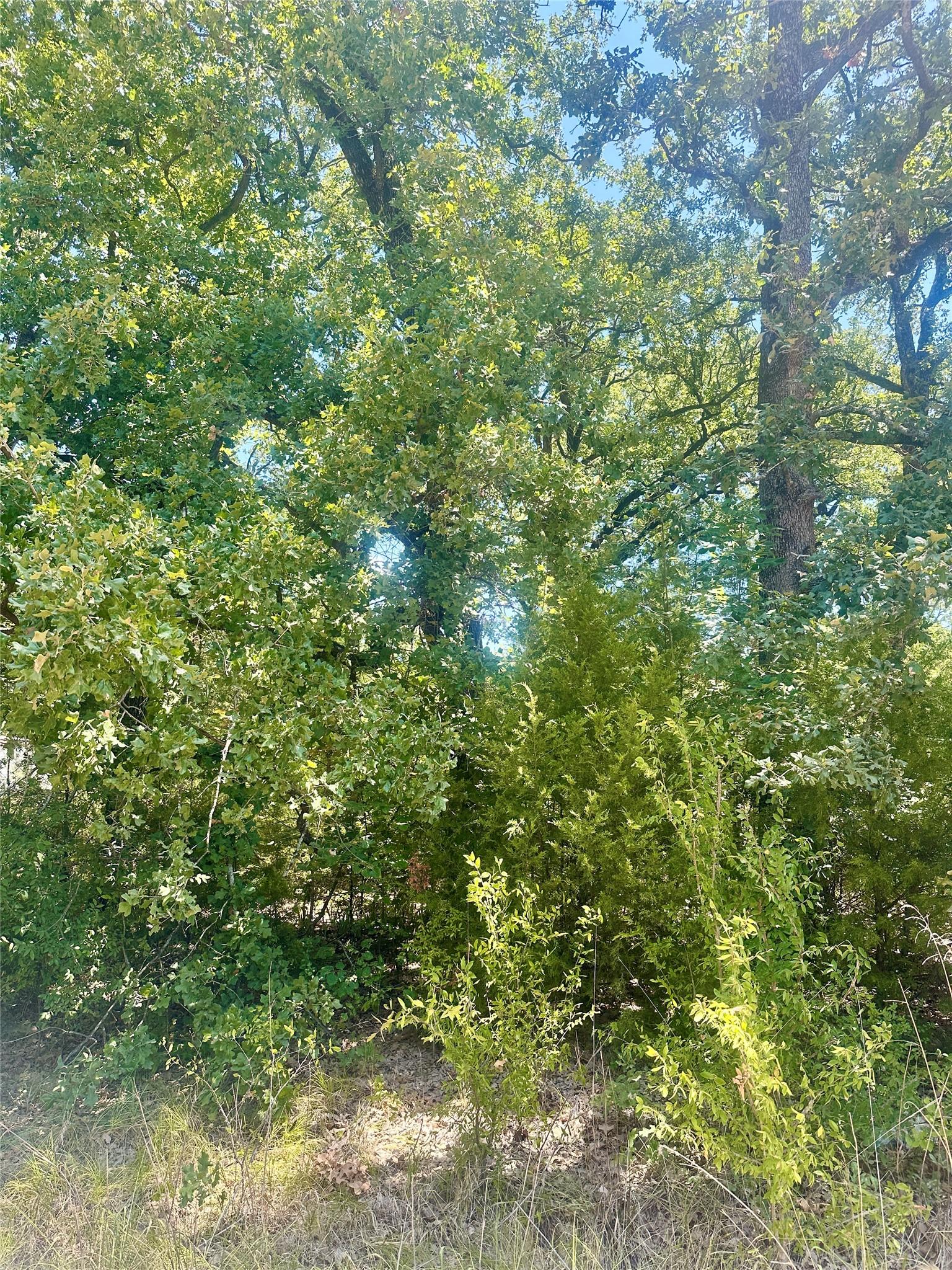 Image 2 Image 2
