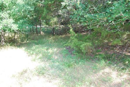 1306 Overlook Drive