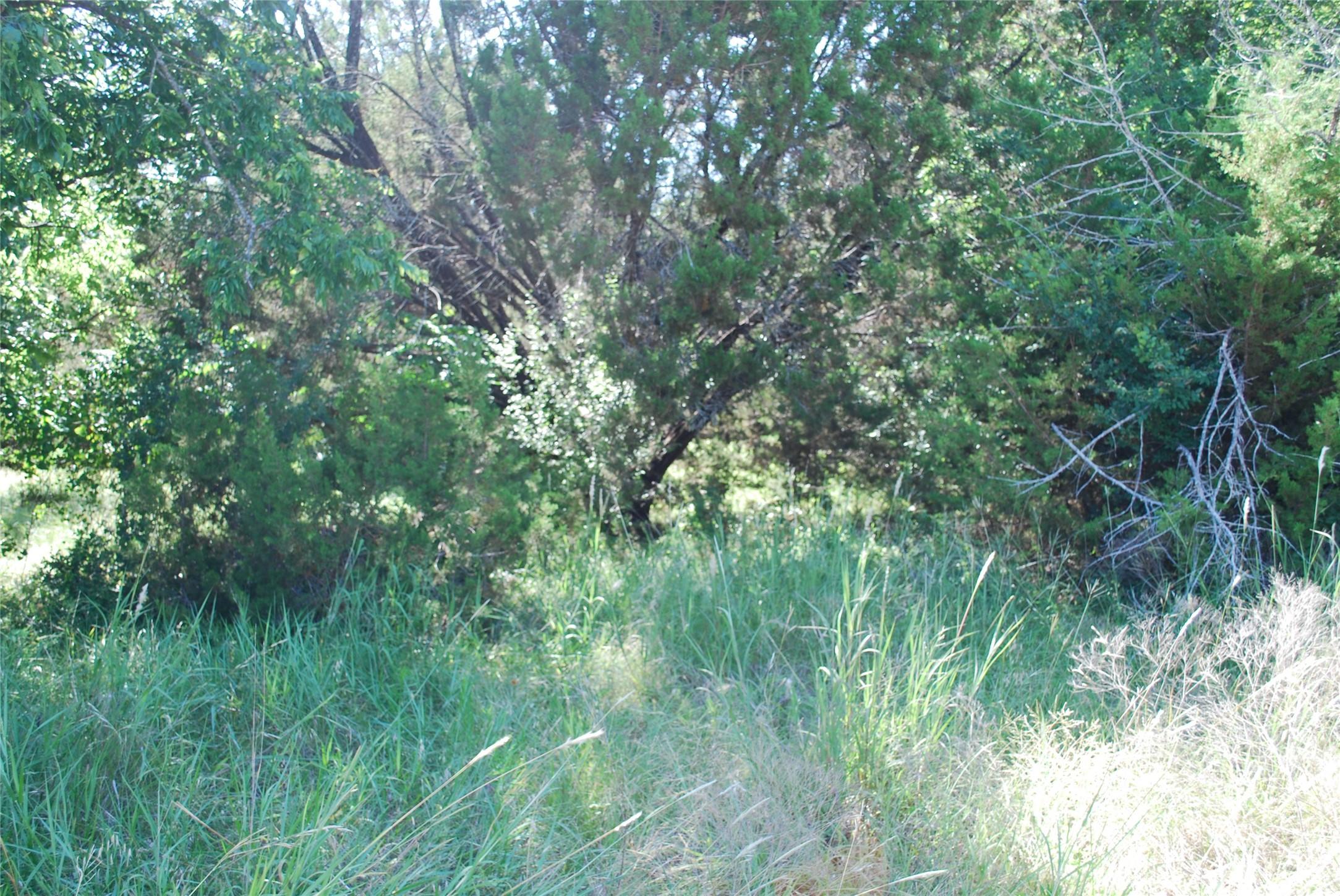 Image 2 Image 2