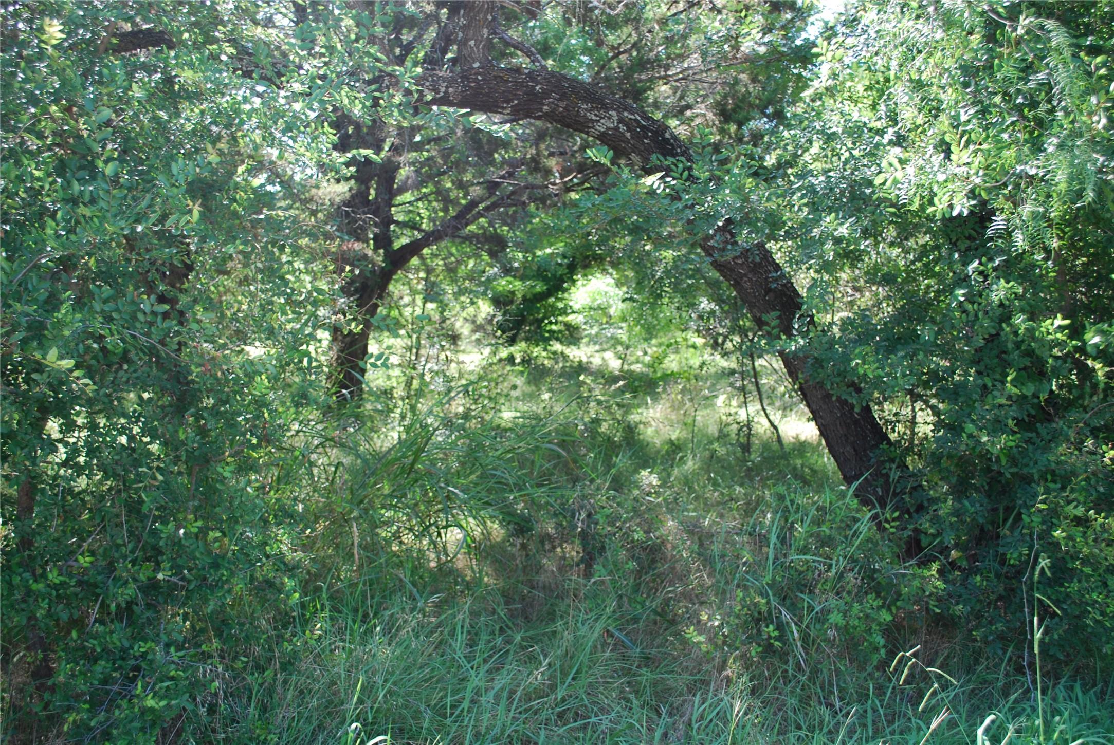 Image 3 Image 3
