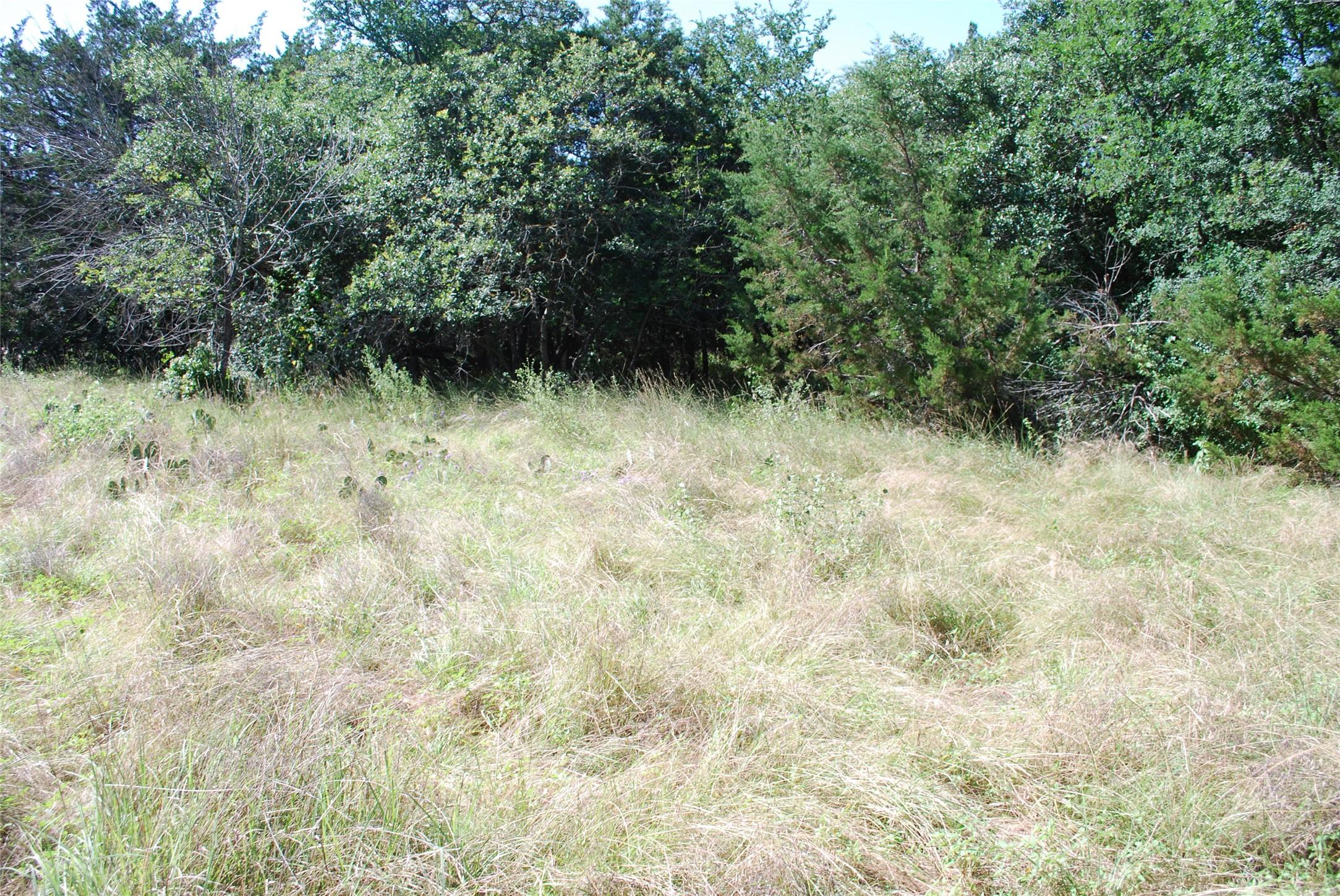 Image 4 Image 4
