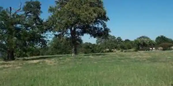 L 71 Vista Ridge