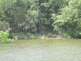 208 Castle Harbour Loop Lot 208