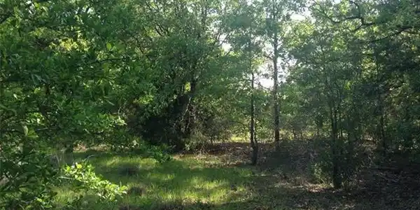 SE County Road 2375 Lot 3