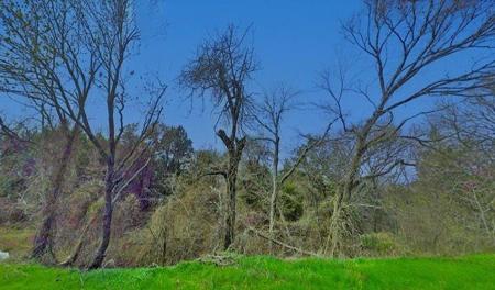 Lot 57 N Oakmont Court