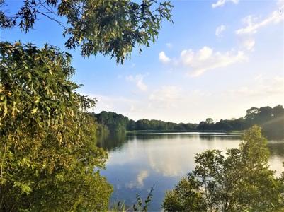 Lot 441 Safari Bluff