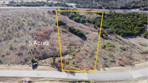 Lot 468 Canyon Wren