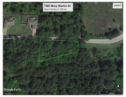 TBD Mary Martin Dr