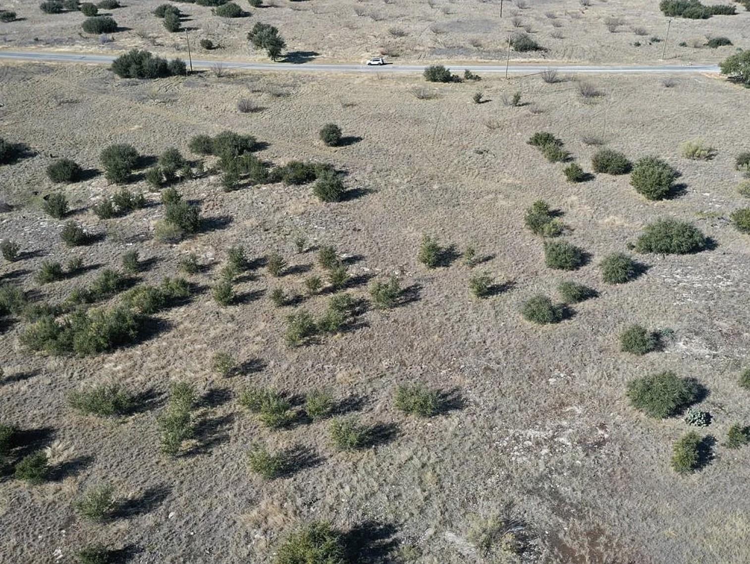 Image 4 Image 4