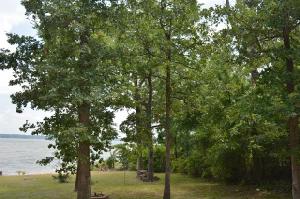 0 County Road 2720