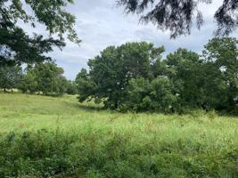 TBD TX 276,