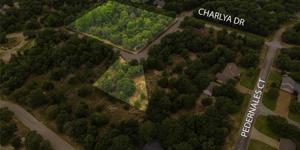 TBD (12 LOTS) PEDERNALES & CHARYLA