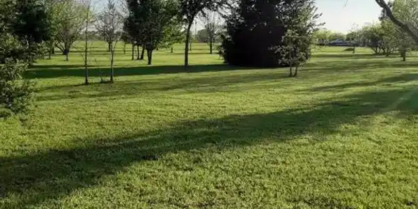 Lot 6 SE County Road 2247