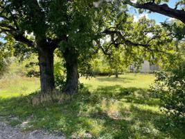 5421 Louisiana Trail