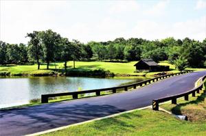 216 Roaring Fork Circle