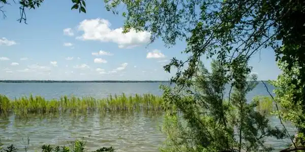 497 The Shores Drive Lot 497