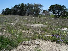 195 Winged Foot Drive Lot 20