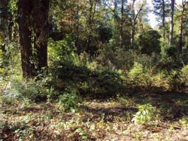 259 Sunny Ridge Lot 1