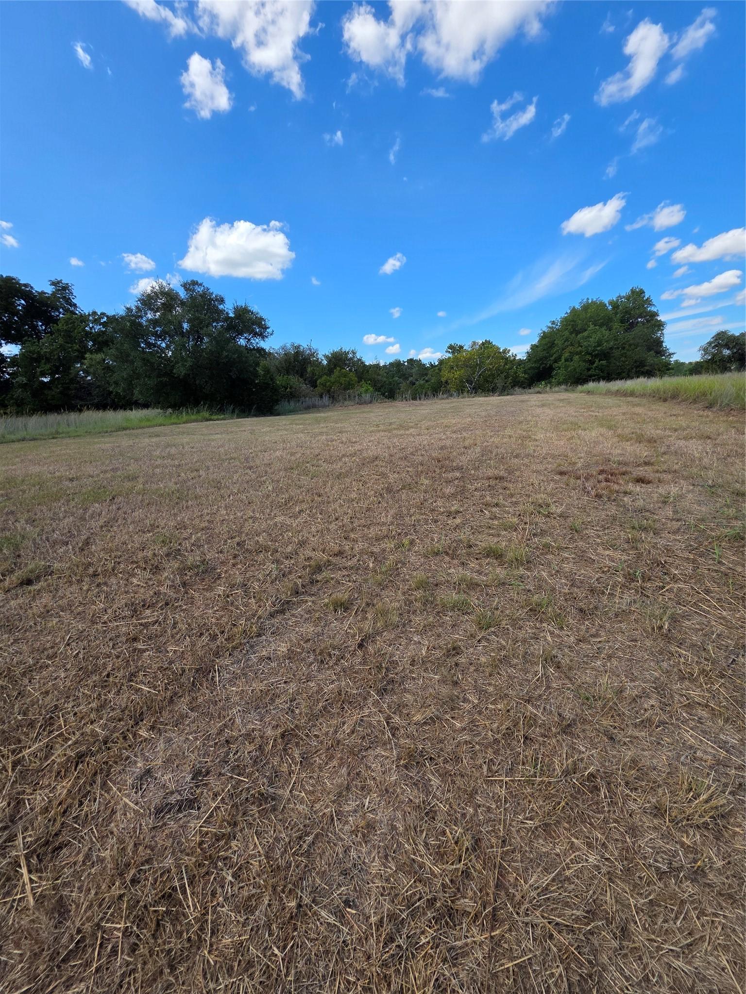 Image 4 Image 4