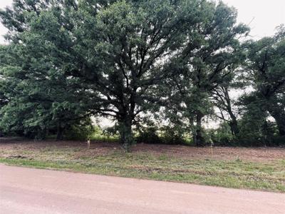 LOT 4 COUNTY ROAD 1560