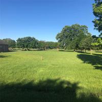 Lot 80 PR 5937