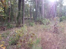 240 Pine Ridge