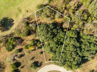 40 LOTS White Bluff