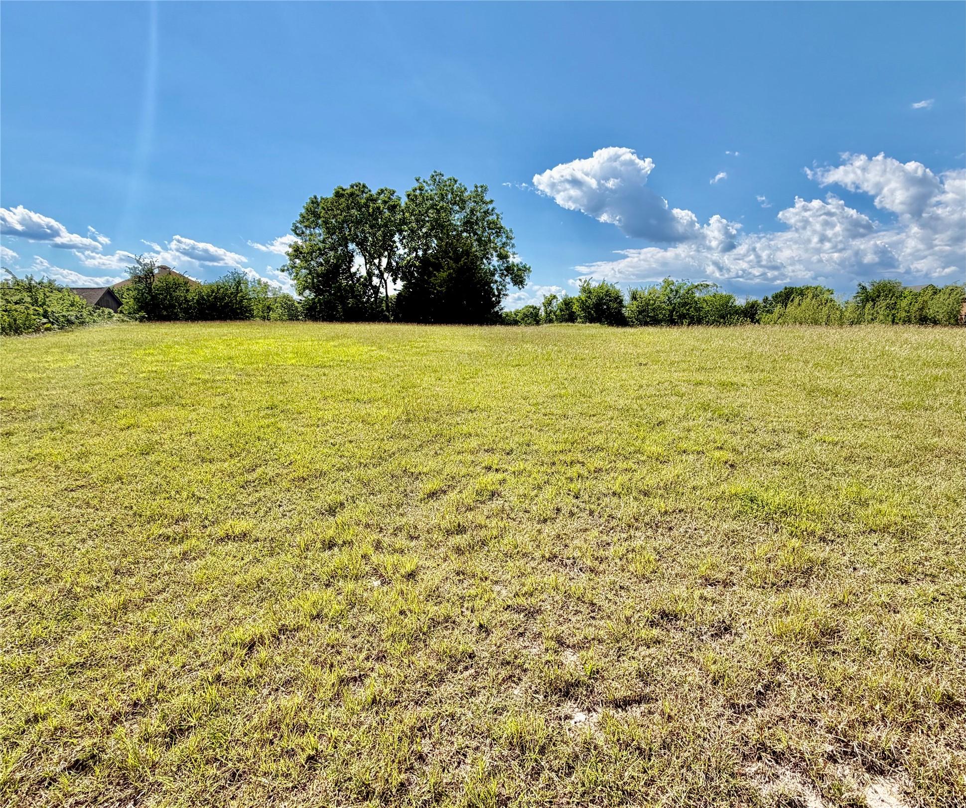 Image 1 Image 1