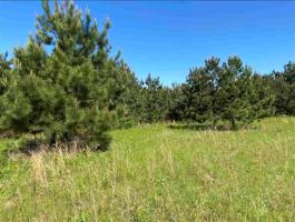 23835 County Road 4117