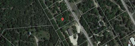 3515 Blueberry Trail