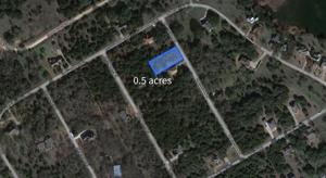 1393 Spanish Oak Trail