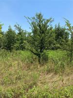 TBD Private Road 3845