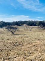 Lot 3 County Road 437 TBD