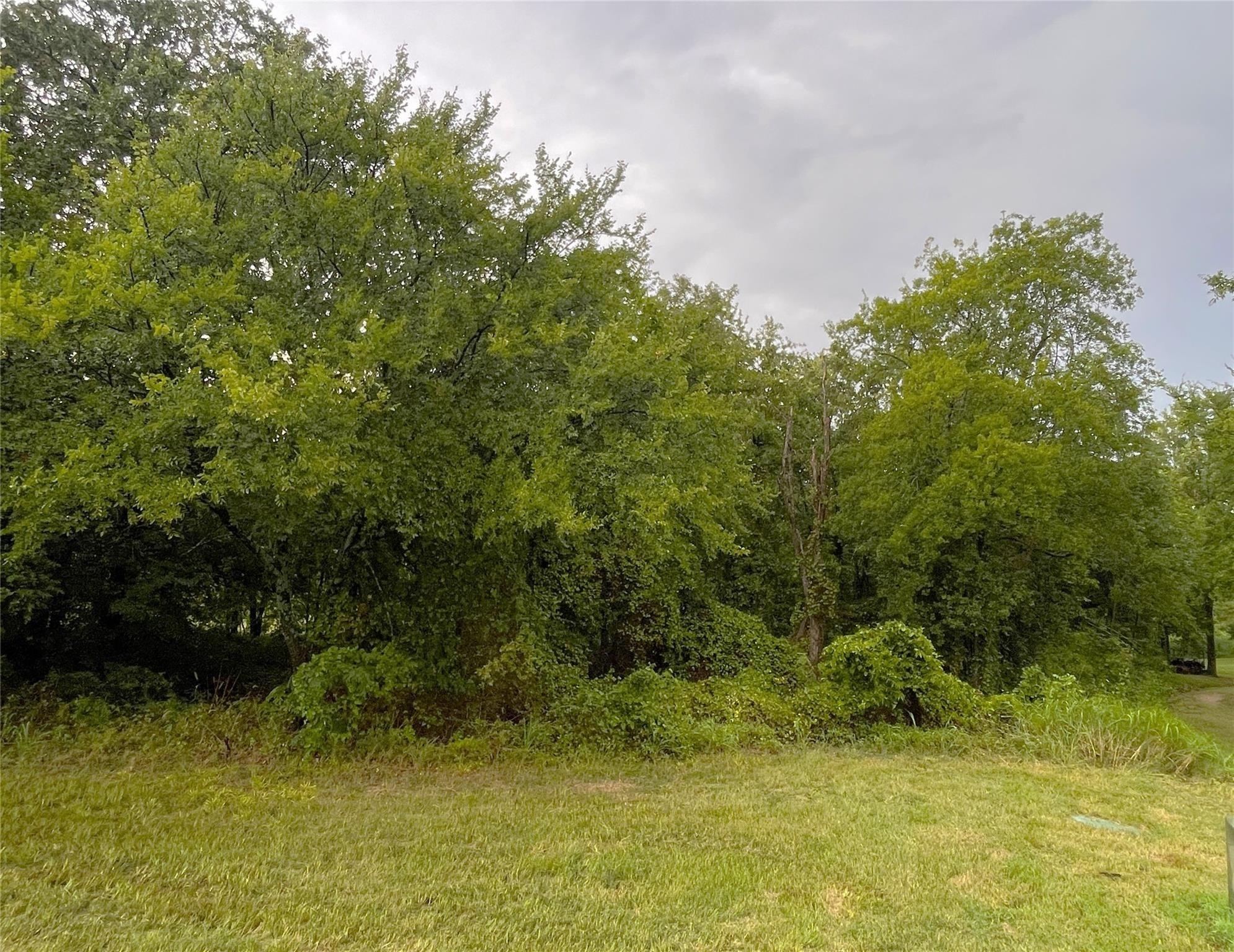 Image 1 Image 1