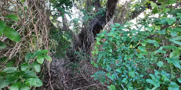 Image 4 Image 4