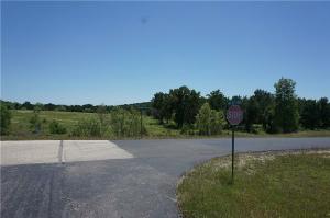 Canyon Wren Lot 355R