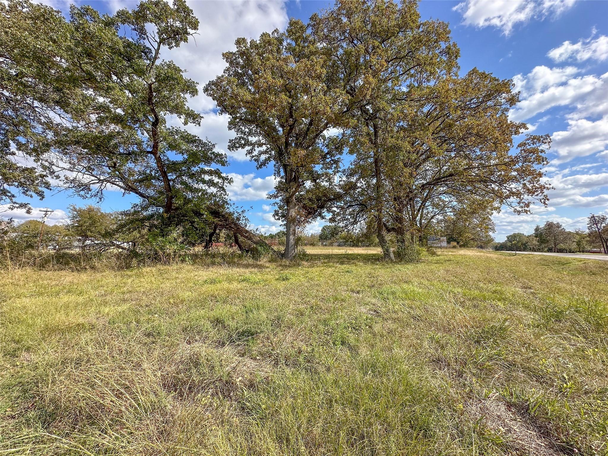 Image 4 Image 4