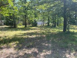 Lot 315 Broken Bow